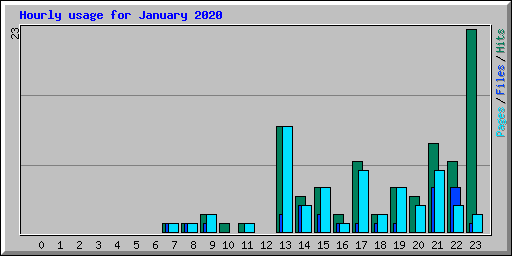 Hourly usage for January 2020