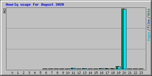 Hourly usage for August 2020