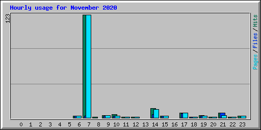 Hourly usage for November 2020