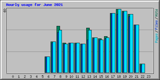 Hourly usage for June 2021