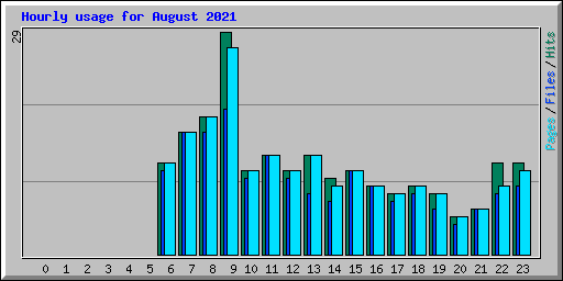 Hourly usage for August 2021