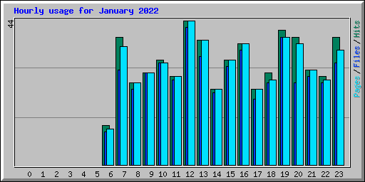 Hourly usage for January 2022