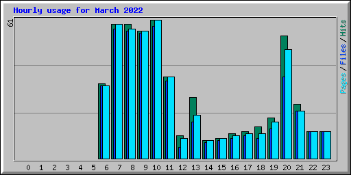 Hourly usage for March 2022