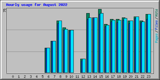 Hourly usage for August 2022