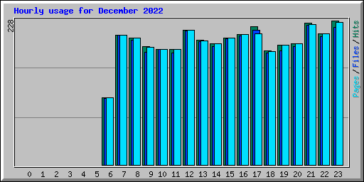 Hourly usage for December 2022