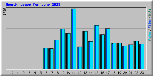 Hourly usage for June 2023