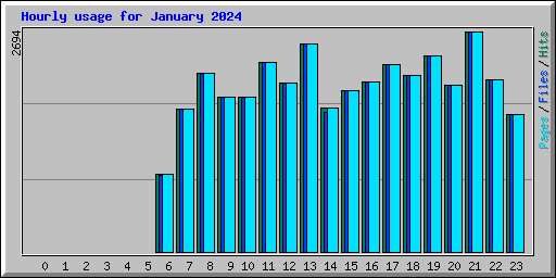Hourly usage for January 2024