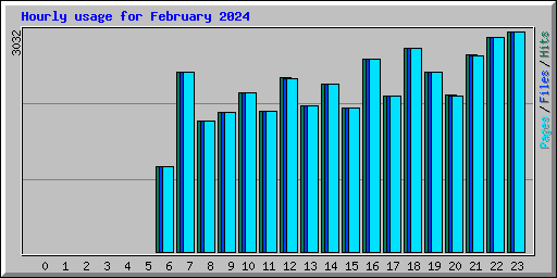 Hourly usage for February 2024