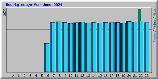 Hourly usage for June 2024