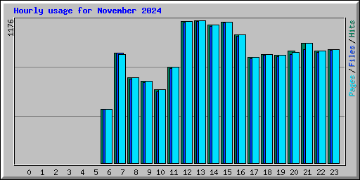 Hourly usage for November 2024