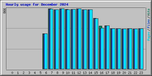 Hourly usage for December 2024