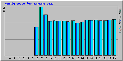Hourly usage for January 2025