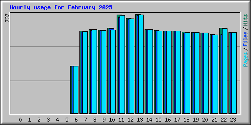 Hourly usage for February 2025