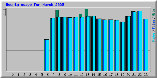 Hourly usage for March 2025