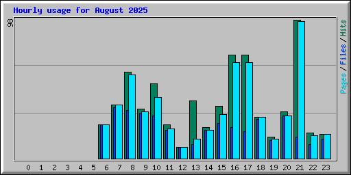 Hourly usage for August 2025